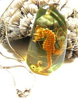 Front view of lucite pendant showing seahorse inside