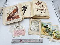 Overview of loose plates, stacks of prints, ID cards and ruler for scale