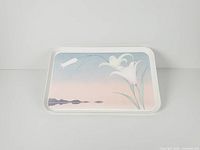 Full view of rectangular melamine tray showing entire design and rim