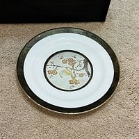 Full view of plate showing design and rim