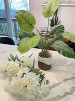 Overall view of two faux chrysanthemum stems and potted houseplant on countertop