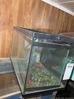 Side view of larger aquarium showing glass construction and marbles