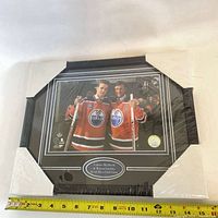 Front view of framed photo print showing subjects, plaque and protective wrap