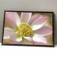 Front view of floral canvas print in frame