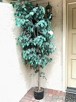 Full view of artificial ficus tree standing by wall and door