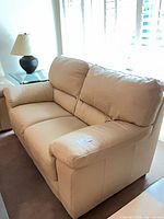 Loveseat angled front left view showing overall size and condition