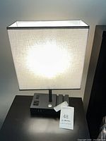 Lamp illuminated showing overall appearance and shade