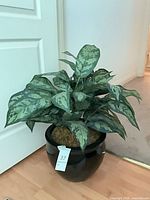 Full view of artificial plant in black glazed pot