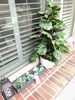 Group shot of floor plant, succulent planter and lantern on brick ledge