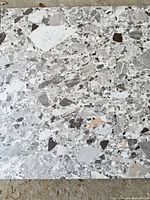 Front surface of tile showing gray terrazzo pattern