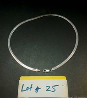 Full view of sterling flat chain necklace with clasp