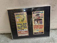 Overall view of the framed pair of posters