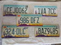 All five Arizona plates laid out on towel