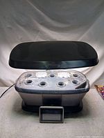Full view of AeroGarden unit with LED hood and grow deck