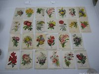 Full layout of 31 silk cigarette cards depicting various flowers