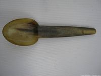 Full view of horn spoon front