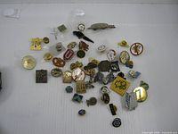 Top view showing full assortment of approximately fifty pins scattered on white surface