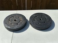Both 25-lb weight plates side by side