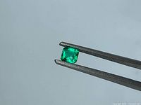 Loose vivid green Asscher cut emerald held by tweezers