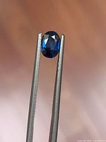 Top view of oval blue sapphire held by tweezers