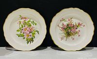 Front view of both Meissen plates showing floral designs and gilt rims
