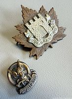 Both pins together for scale and comparison