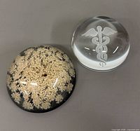 Both paperweights front view