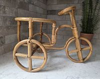 Full view of rattan bicycle plant stand