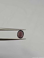 Oval deep purple spinel held in tweezers, face view