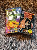 Front covers of both paperback books