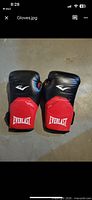 Front view of both gloves showing Everlast logo and color scheme