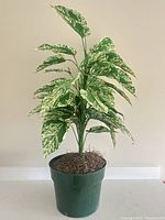 Full view of artificial variegated plant in green plastic pot