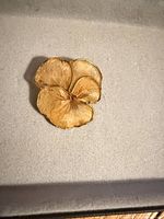 Front view of resin flower pendant showing gold-plated edging and natural flower inside