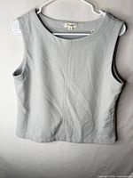 Front view of Max Studio light gray sleeveless top