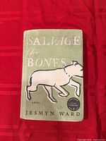 Front cover of Salvage the Bones hardback