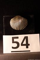 Front view of scallop seashell pin on display stand