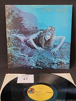 Front sleeve with vinyl partially visible