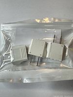 Three BGGS plug adapters in sealed clear bag
