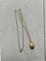 Full view of gold-tone chain with scarab pendant and spring ring clasp