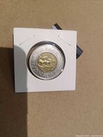 Front view of coin in holder showing reverse polar bear design and date 2000