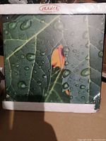 Front view of sealed Plak-It leaf wall art
