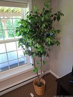 Full view of artificial tree in basket near window