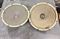 Front view of both 12-inch drivers showing cones and gaskets