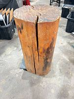 Front view of hardwood stump showing overall shape and major crack