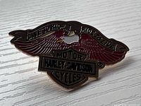 Front view of brass pin showing wings, shield and motto