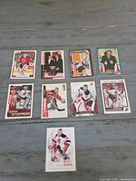 All ten sleeved Martin Brodeur hockey cards laid out