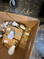 Box containing various packaged and loose bulbs