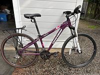 Full left side view of bike showing frame size, rear rack, tires and overall condition