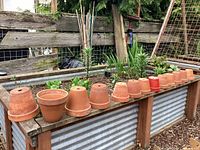 Row of terracotta pots on planter bed, showing quantity and size variation