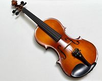 Front view of Cecilio CVN-300 violin